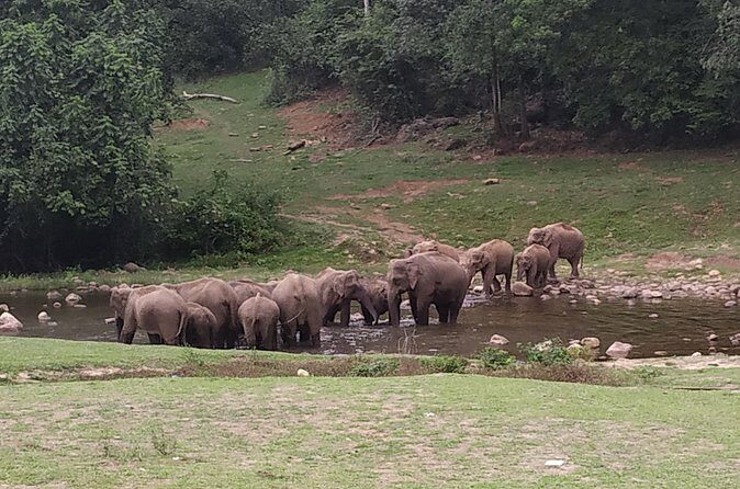 1 Day Activity Adventure Trekking Kerala - River play at Ittacholayar: optional water games and fish hunting