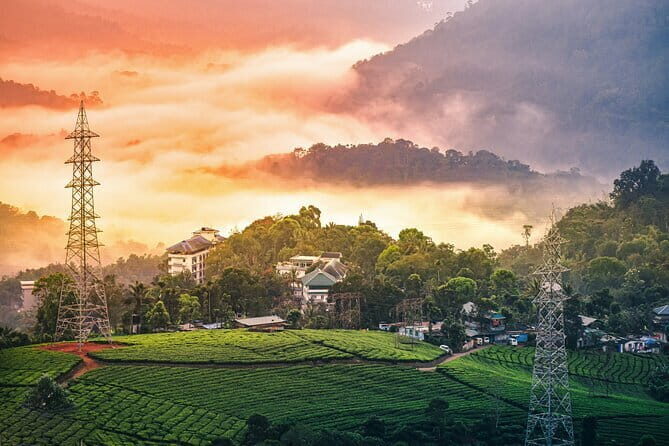 12 Hours Private Munnar Tour from Kochi - Key things that make this Munnar day trip worth your time