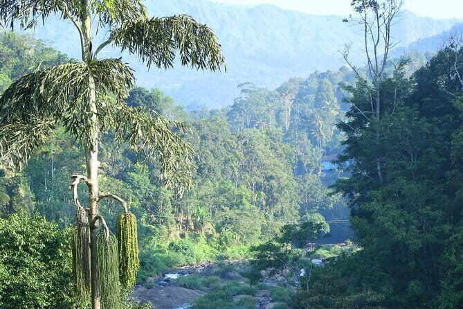 12 Hours Private Munnar Tour from Kochi - What the private format changes (and what it does not)