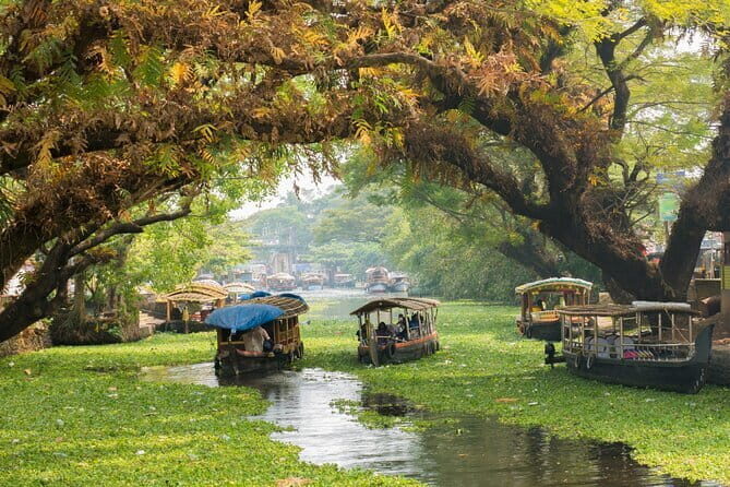 3 Nights Private Kerala Premium Package by Sanguine Holidays - Price and what you actually get for $340.02 per person
