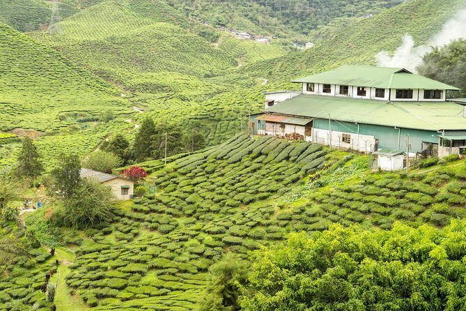 4 Days Best of Kerala Tour with Private Houseboat, Sightseeing & Car - Day 1 in practice: what you’ll enjoy and what to pace yourself