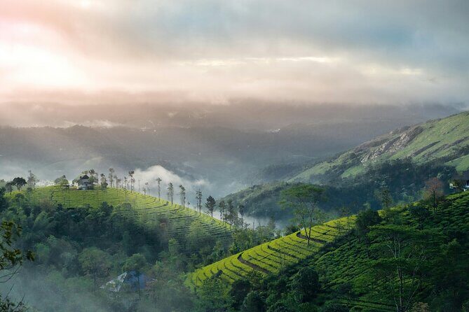 4 Days Private Kerala Tour -Kochi, Munnar, Thekkady with 3<em> Hotel – Key highlights before you go’ /></p>
<ul>
<li><strong>Private, air-conditioned car all the way</strong>: driver, fuel, tolls, and parking are part of the package.</li>
<li><strong>Munnar waterfall stack day</strong>: Cheeyappara and Valara are close enough to make the drive feel active.</li>
<li><strong>Tea and garden time that’s actually structured</strong>: Tea Museum plus Government Botanical Garden and Rose Gardens.</li>
<li><strong>Big viewpoint stops</strong>: Echo Point, Kundala Lake, and Mattupetty Dam for photos that don’t require hiking.</li>
<li><strong>Wildlife-chance day at Periyar Lake</strong>: Periyar Wildlife Sanctuary on a long, flexible-style block.</li>
<li><strong>Fort Kochi wrap-up on day four</strong>: Chinese Fishing Nets, Princess Street, and Santa Cruz Cathedral Basilica.</li>
</ul>
<h2 id="entering-the-route-how-this-4-day-loop-makes-sense">Entering the route: how this 4-day loop makes sense</h2>
<p><img width="669" height="446" decoding="async" src=