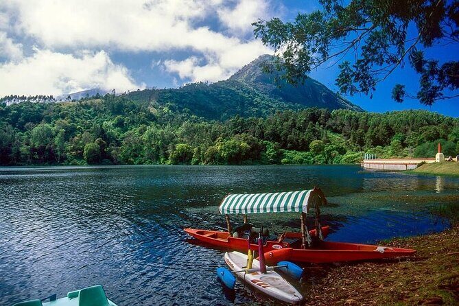 4 Days Private Kerala Tour -Kochi, Munnar, Thekkady with 3<em> Hotel – Day 3: Thekkady check-in and Periyar Wildlife Sanctuary on Periyar Lake’ /><br />
Day three shifts gears from tea-country to spice-and-wildlife country. After breakfast, you check out from the Munnar hotel and drive to Thekkady, then check in and reset.</p>
<p><p>Thekkady is known for spice plantations, and even without going deep into plantations here, the atmosphere changes. The hills feel more forested. The air feels heavier. The day starts to feel more about nature than postcards.</p>
</p>
<h3 id="periyar-wildlife-sanctuary-wildlife-chances-from-the-lake-edge">Periyar Wildlife Sanctuary: wildlife chances from the lake edge</h3>
<p>Your main activity is Periyar Wildlife Sanctuary at Periyar Lake. The plan is a big time block—about six hours—built around the idea that you’re watching from the forest-lined shores and keeping your eyes open.</p>
<p><p>The information lists chances to spot elephants, deer, wild boars, bison, and a variety of birds. I like how this is framed as chance-based rather than guaranteed. It keeps expectations realistic and helps you enjoy the whole area even if you don’t get that perfect wildlife photo.</p>
</p>
<p><p>Bring a light layer. Even when the day is warm, lake-side hours can feel cooler.</p>
</p>
<h2 id="day-4-fort-kochi-classics-chinese-fishing-nets-princess-street-and-santa-cruz">Day 4: Fort Kochi classics—Chinese Fishing Nets, Princess Street, and Santa Cruz</h2>
<p><img width="674" height="446" decoding="async" src=