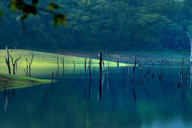 5 Days Luxury Kerala Tour with Houseboat Experience - Eravikulam and the tea stops: Day 2 is where planning pays off