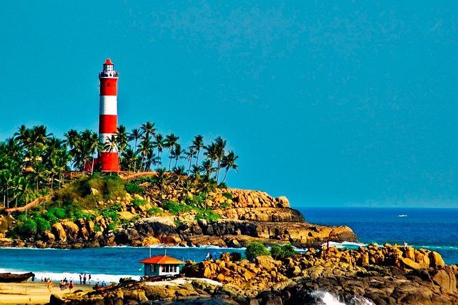 7-Day Kerala Luxury Tour from Cochin with Private Driver - Cochin’s Fort Kochi sights: nets, churches, and a synagogue stop