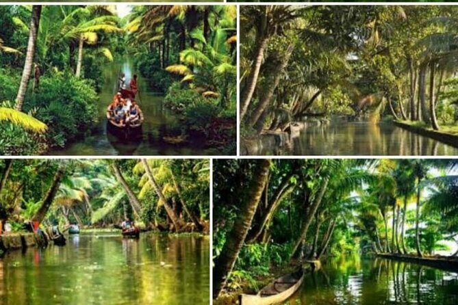 Alasr Lakeview Cruise /Hourly Trips to Backwater of Alleppey - Getting on Board: Hourly Shikara Cruises from Rajiv Boat Jetty