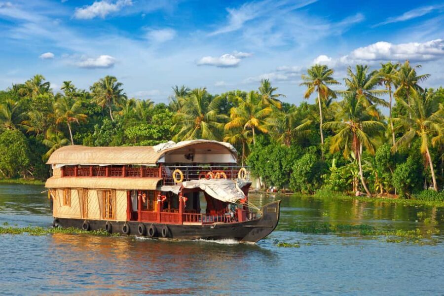 Alleppey / Alappuzha Houseboat Day Cruise with Lunch: Cochin - The backwater cruise: slow sights, real rural life, and birds