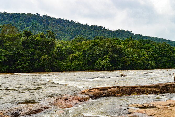 Athirappilly Water Falls : A Nature Day Trip from Kochi - Key things to plan around