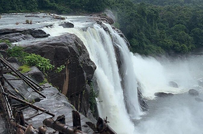 Athirappilly Waterfalls Day Trip from Kochi with Transfers - Wildlife Moments: Birds and Monkeys Along the Way
