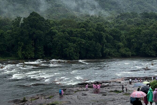 Athirappilly Waterfalls Day Trip from Kochi with Transfers - Price and Value for $67: What You Get, What You Bring