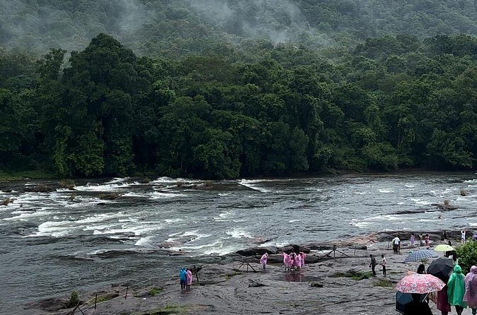 Athirappilly Waterfalls Day Trip from Kochi with Transfers - Best Fit for Your Day: Who Will Love This and Who Might Not