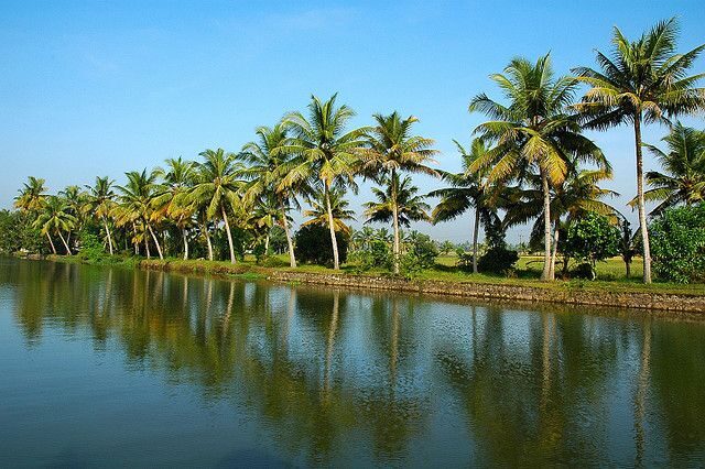 Cochin : Alleppey/Alappuzha Backwater Canoe (Shikara) Cruise - Cochin to Alleppey: timing you can actually plan around