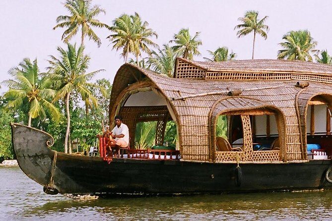 Cochin (Kochi) Shore Excursions from Cruise Terminal Ships Pier - Chinese fishing nets in Fort Kochi: quick, and worth it