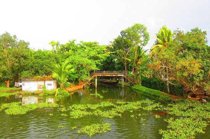 Cochin Shore Excursions from Cruise Terminal - Should You Book This Kochi Shore Excursion?