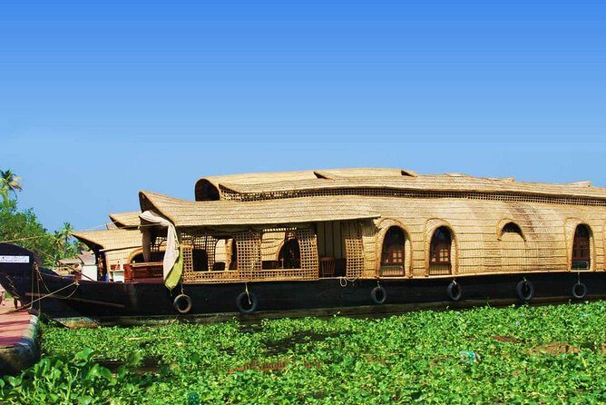 Cochin Shore Excursions from Cruise Terminal - Alleppey Houseboat Cruise: The Part You’ll Remember