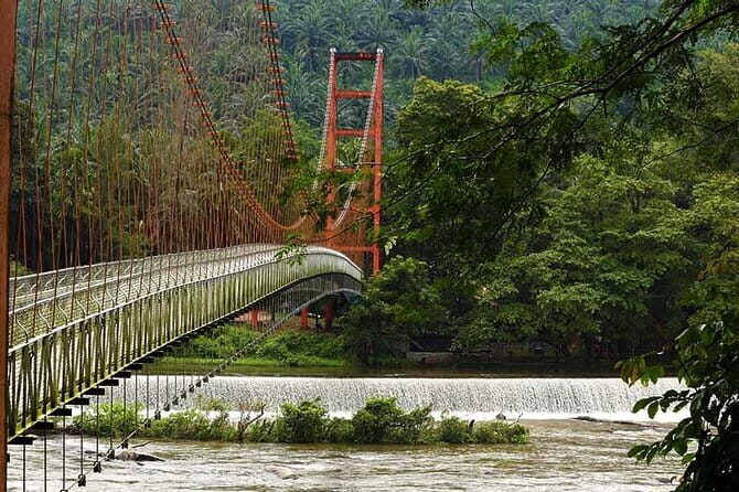 Day Trip to Athirappilly Water Falls by Kochi Taxi - Turning Kochi into a falls day (without wasting hours)