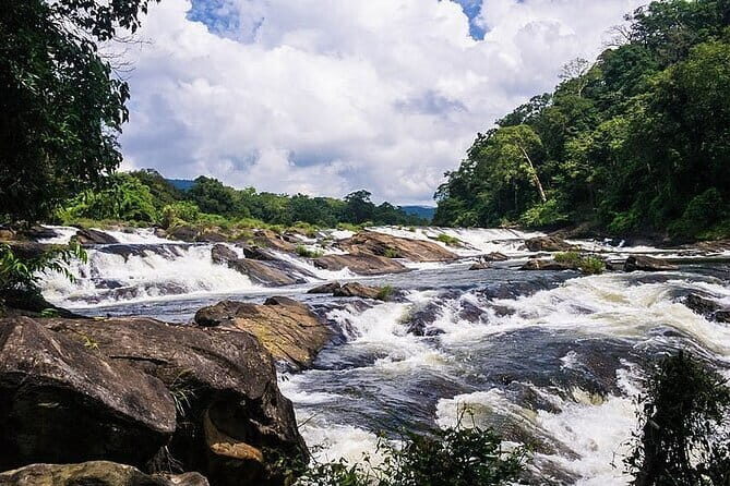 Day Trip to Athirappilly Water Falls by Kochi Taxi - Getting to Thumboormuzhi Dam & Garden: a calmer first stop
