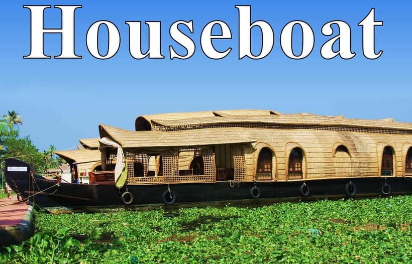 From Cochin Port: Backwater Cruise and Chinese Nets - The Alleppey scenery: why the Venice-of-the-East label sticks