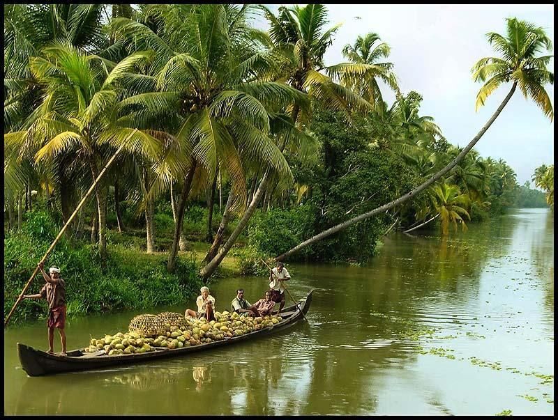 From Kochi: 2-Day 1-Night Alappuzha Private Houseboat Cruise - Price and what you’re really buying (for $375 per group)