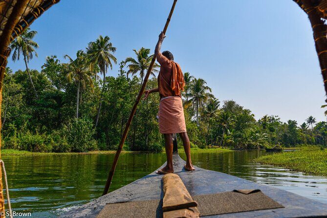 Half-Day Eco Punting and Village Backwater Cruise from Cochin - Eco in practice: what to expect from the eco-friendly label