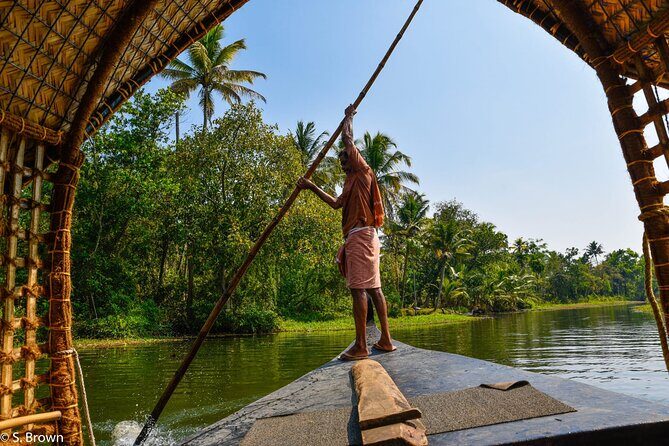 Half-Day Eco Punting and Village Backwater Cruise from Cochin - Price and value: why $28.74 can make sense for this format