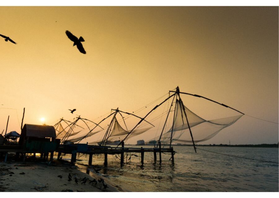 Heritage & Cultural Walk of Kochi (2 Hours Guided Tour) - Chinese Fishing Nets: Watching More Than Just Photos
