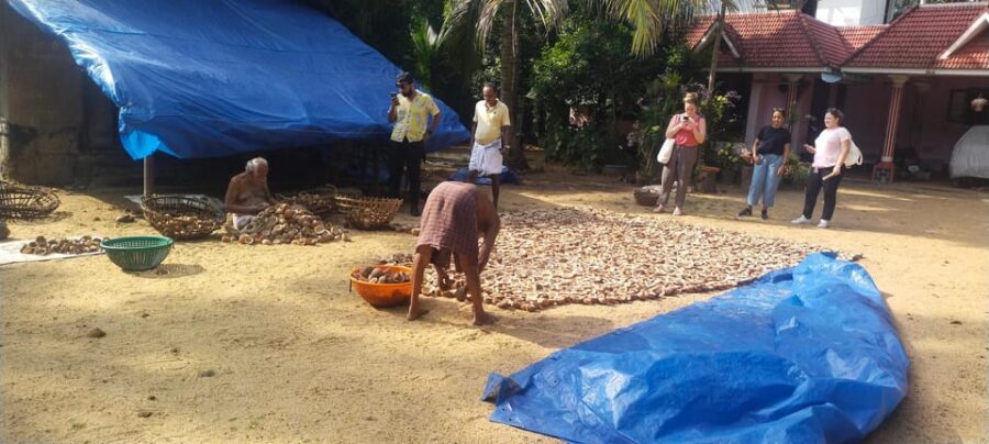 Kochi: Backwater Exploration in Village: Free Pickup & Drop - Who This Tour Suits Best