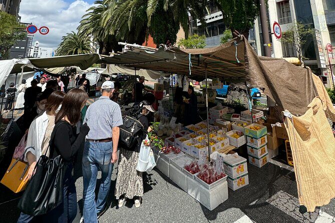 Kochi Castle, Shrine & Hirome Market: Half-Day Guided Tour - Included Snacks and What You’ll Still Want to Buy