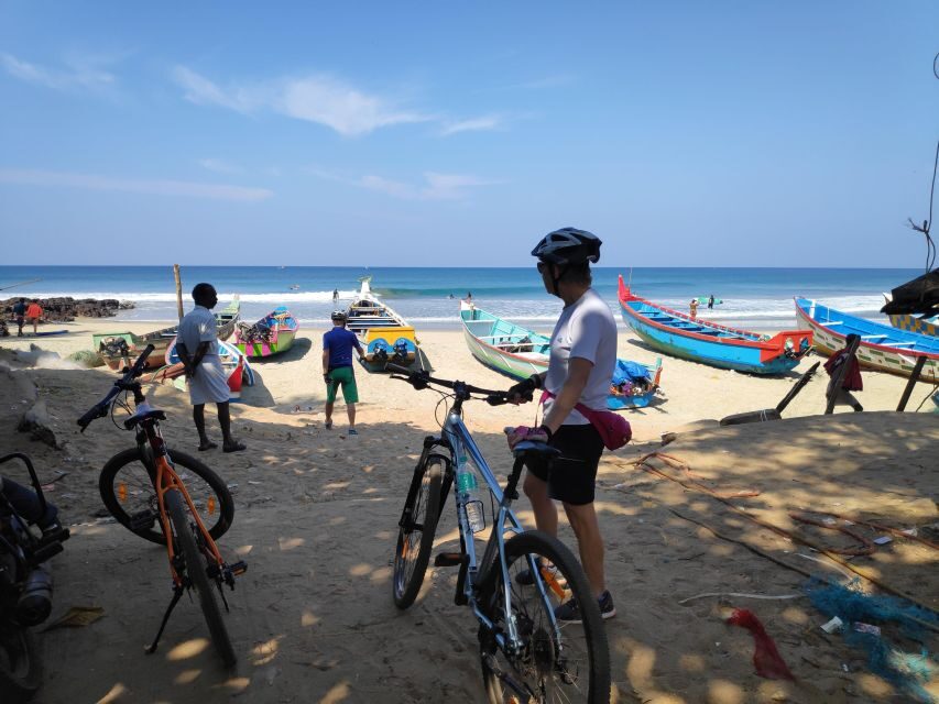 Kochi to Marari/ Kumarakom/ Alleppey eBike/Cycling Tour - From Marari back to Kochi by A/C vehicle