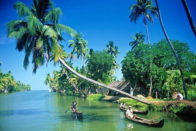 Kumbalangi Village Sightseeing Tour - The boat ride over the backwaters: where the scenery clicks
