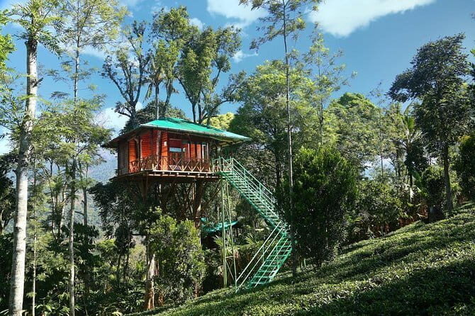 Midday Cruise with Village Life - Coffee, language, and the guides who make it click
