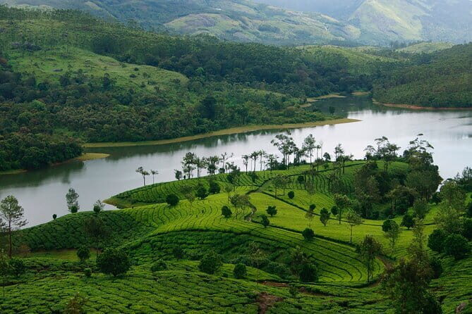 Multi Day Private Guided Tour of Kerala from Kochi by Car - Day 3: The Kochi-to-Thekkady drive that sets up the wildlife day