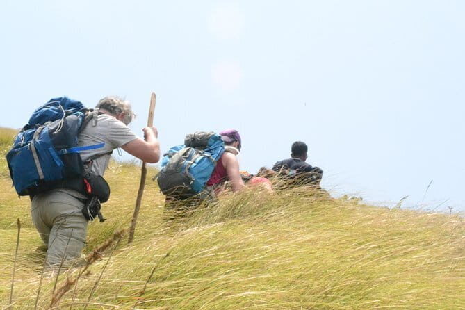 Multi Day Private Guided Tour of Kerala from Kochi by Car - Day 4: Periyar boat safari and Abraham’s Spice Garden