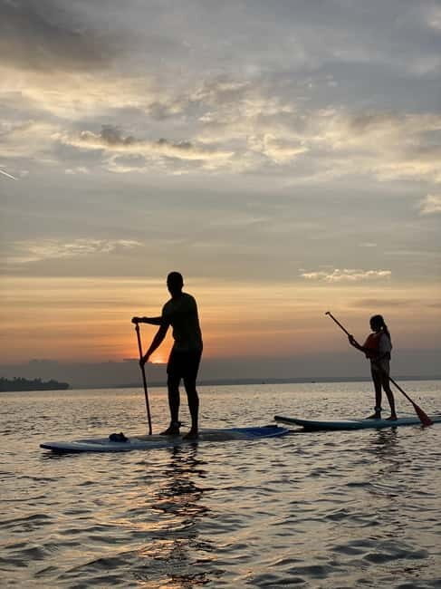 SUP in Kochi: Sunrise Stand-Up Paddleboarding Tour - Key things to know before you go